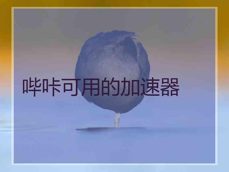哔咔可用的加速器