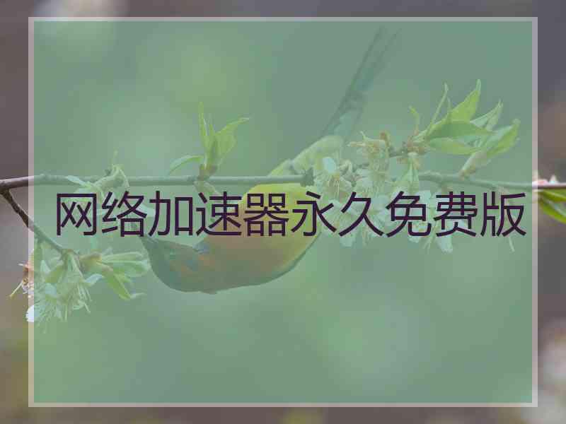 网络加速器永久免费版