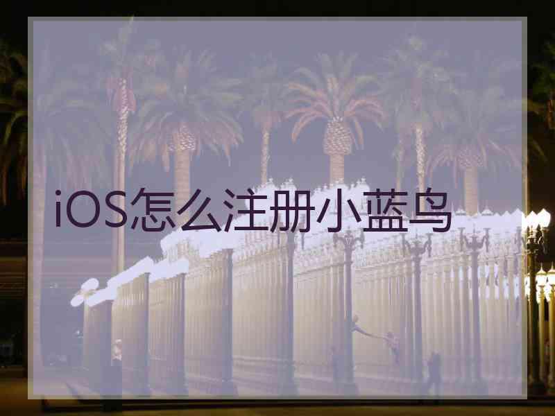 iOS怎么注册小蓝鸟