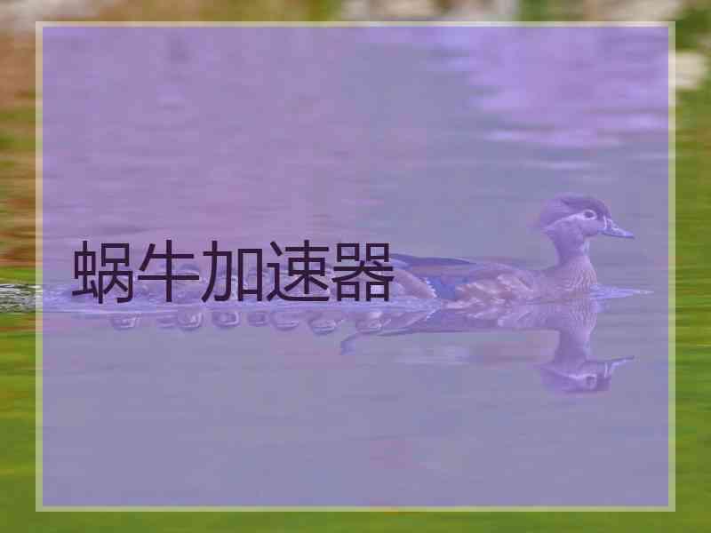 蜗牛加速器