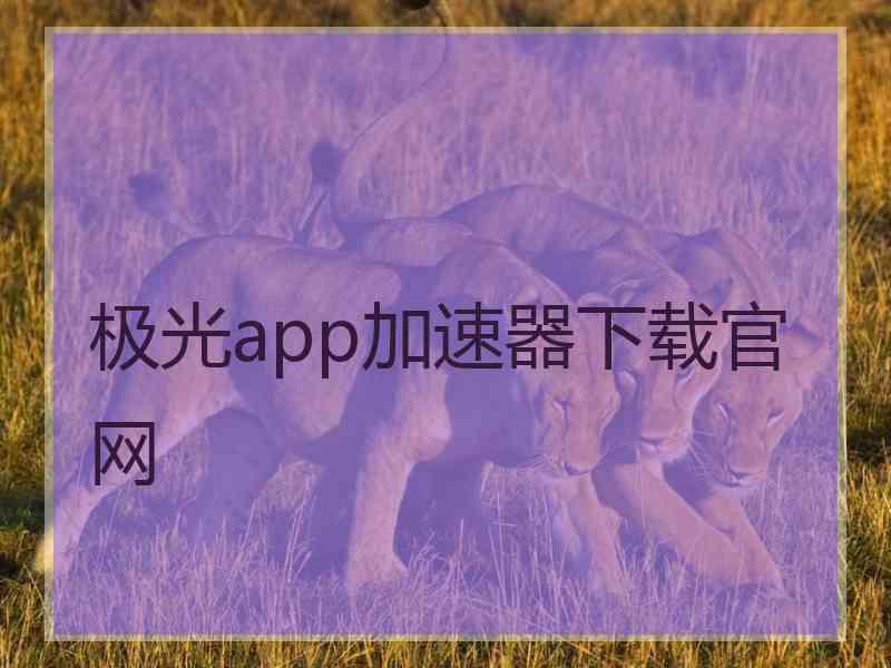 极光app加速器下载官网
