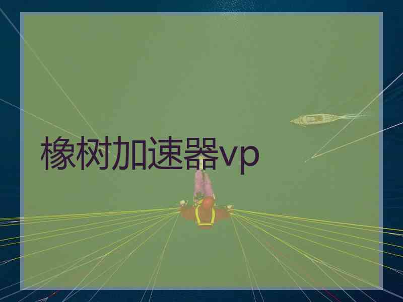 橡树加速器vp