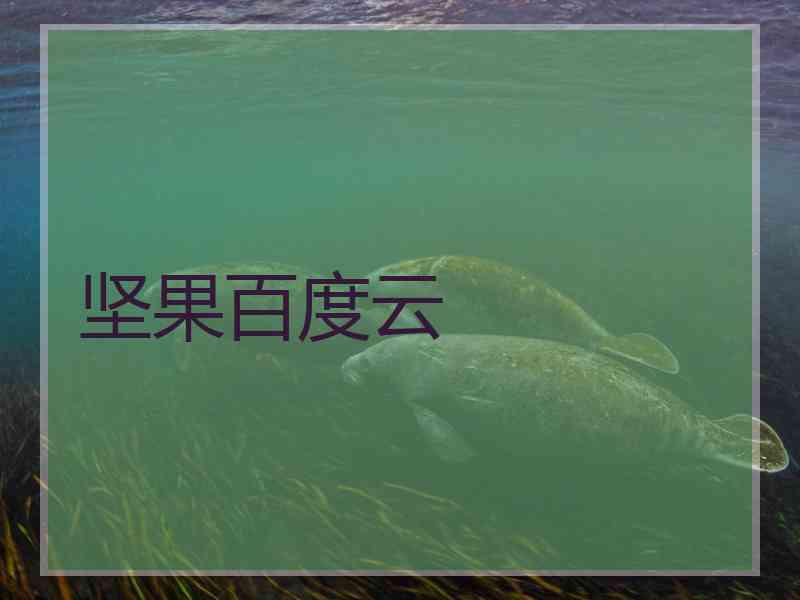 坚果百度云