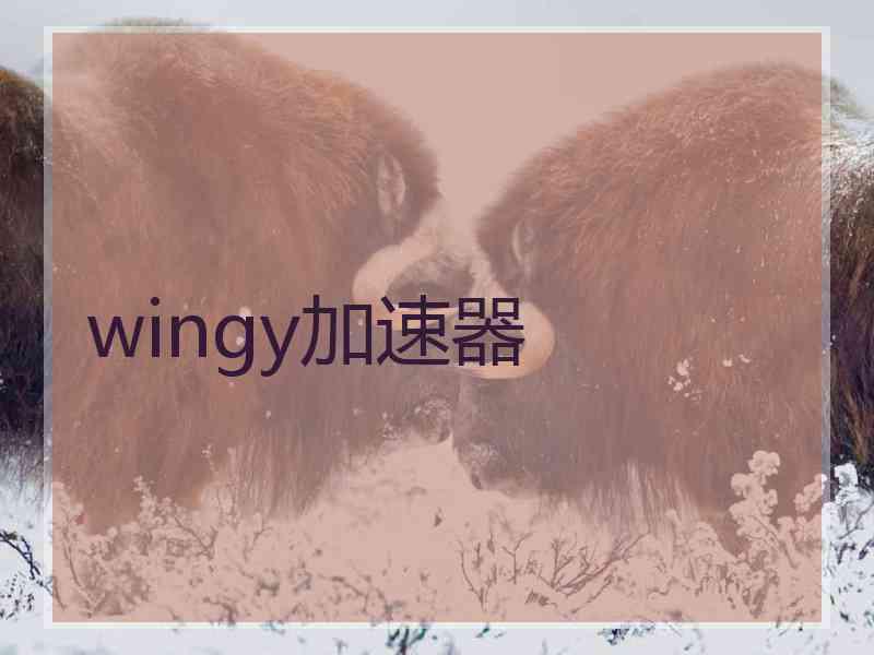 wingy加速器