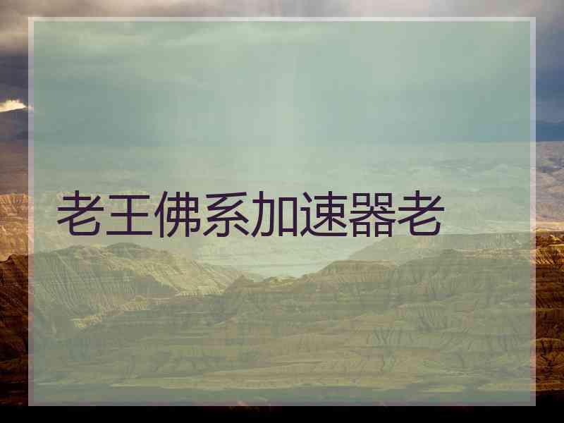 老王佛系加速器老