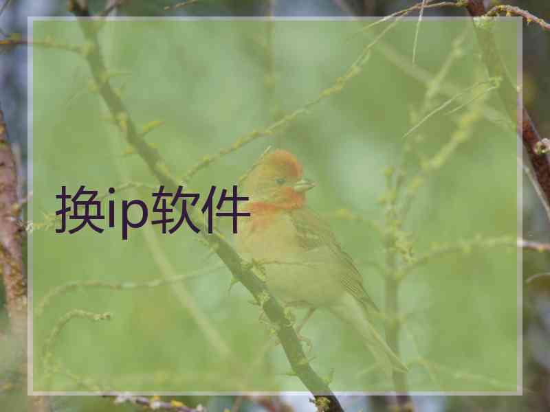 换ip软件
