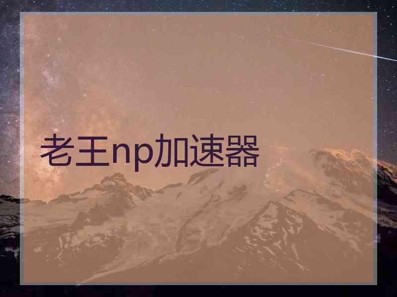 老王np加速器