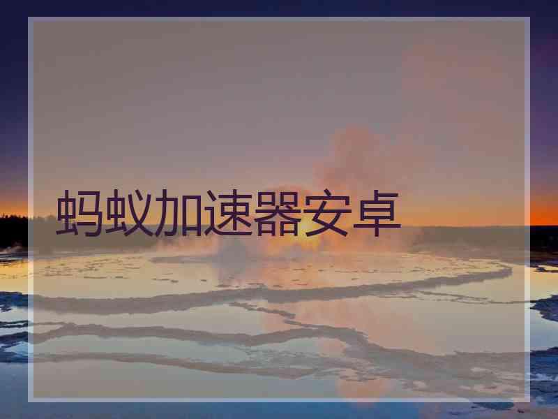 蚂蚁加速器安卓