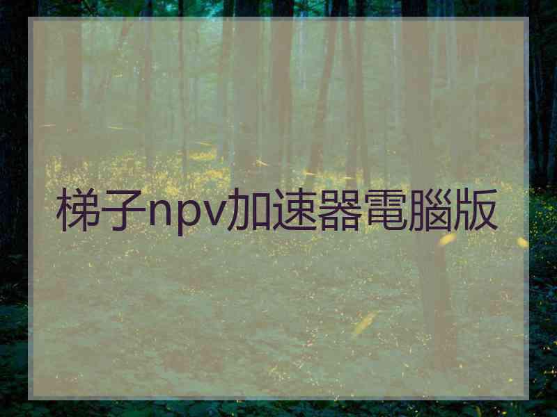 梯子npv加速器電腦版