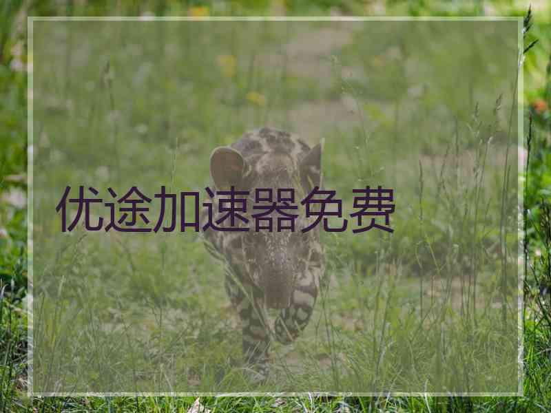 优途加速器免费