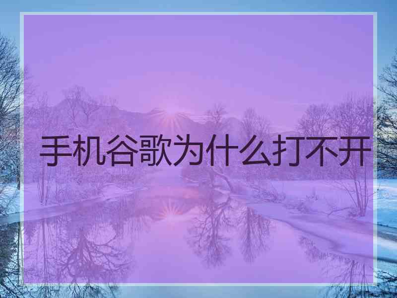 手机谷歌为什么打不开