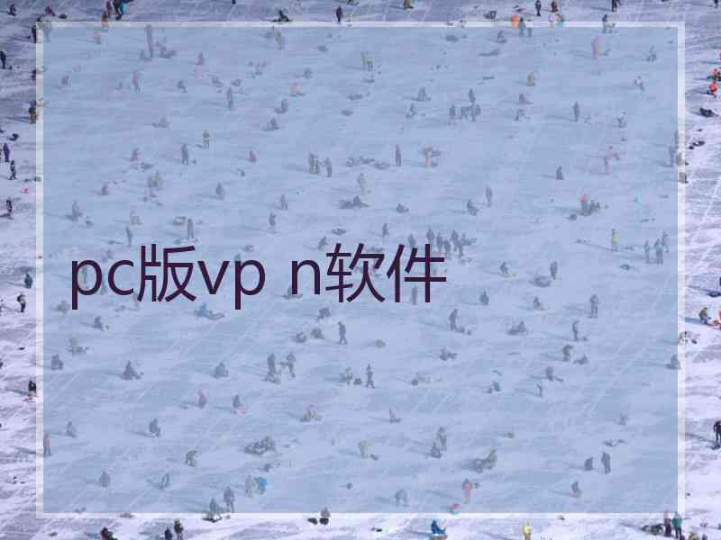pc版vp n软件