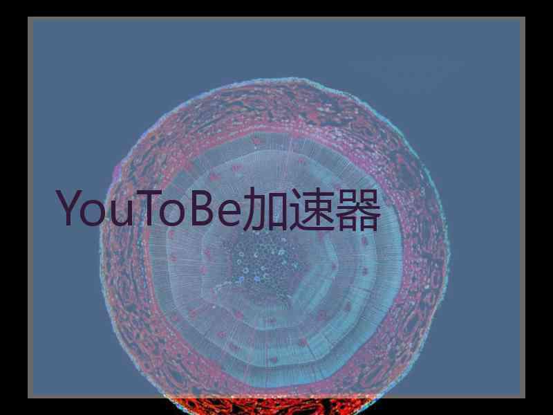 YouToBe加速器