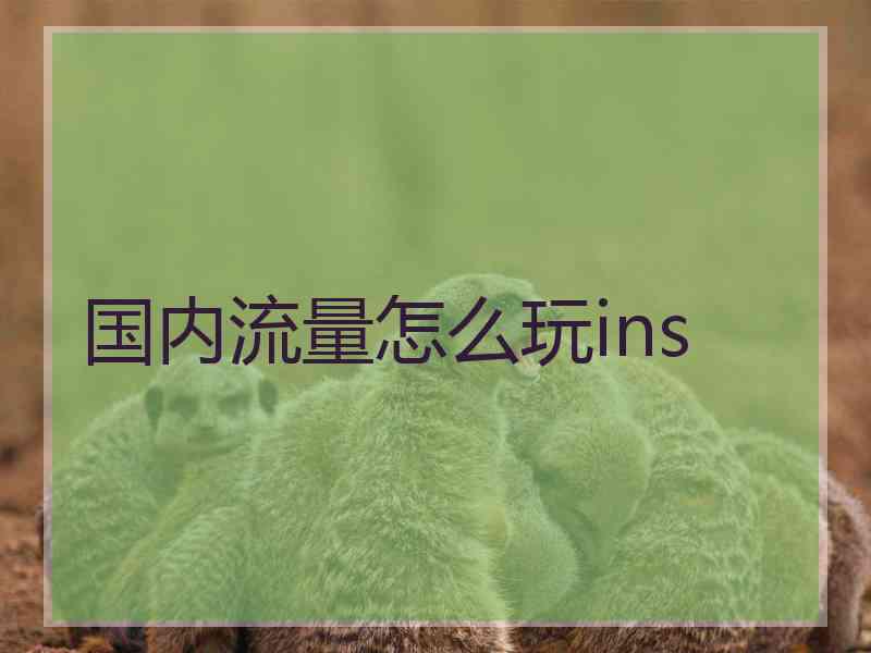 国内流量怎么玩ins