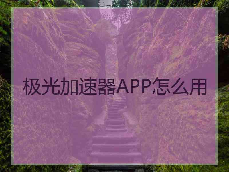 极光加速器APP怎么用