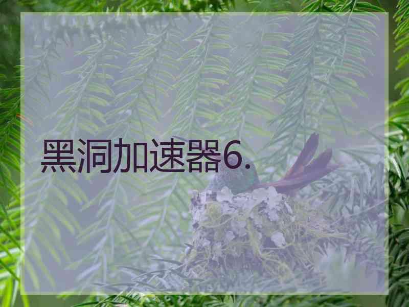 黑洞加速器6.