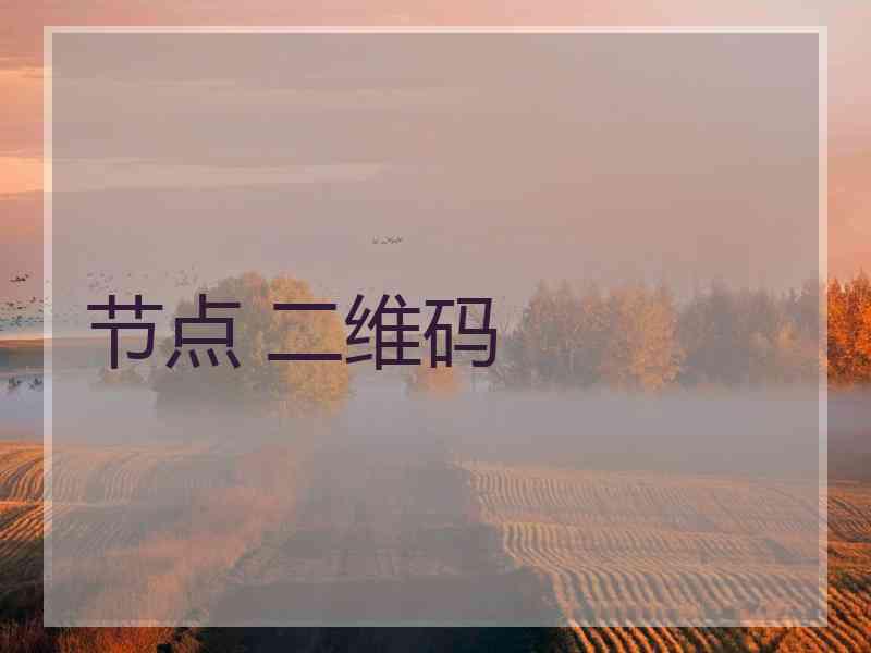 节点 二维码