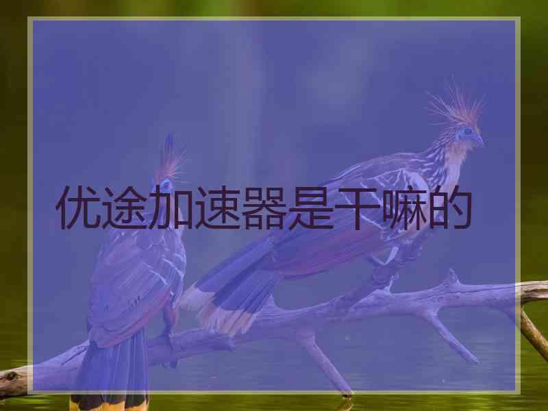 优途加速器是干嘛的