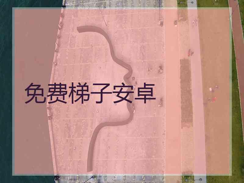 免费梯子安卓