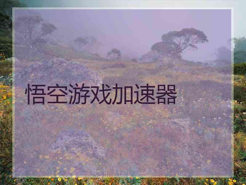 悟空游戏加速器