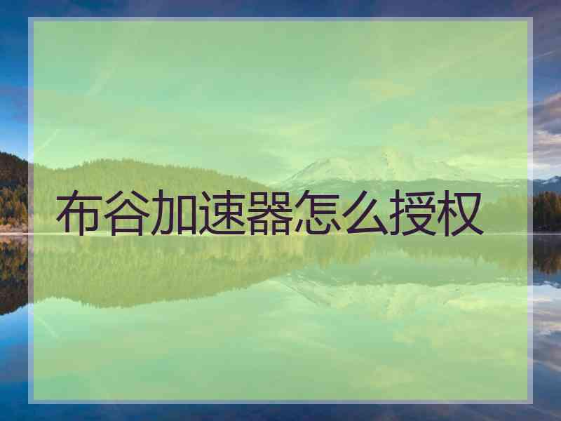 布谷加速器怎么授权