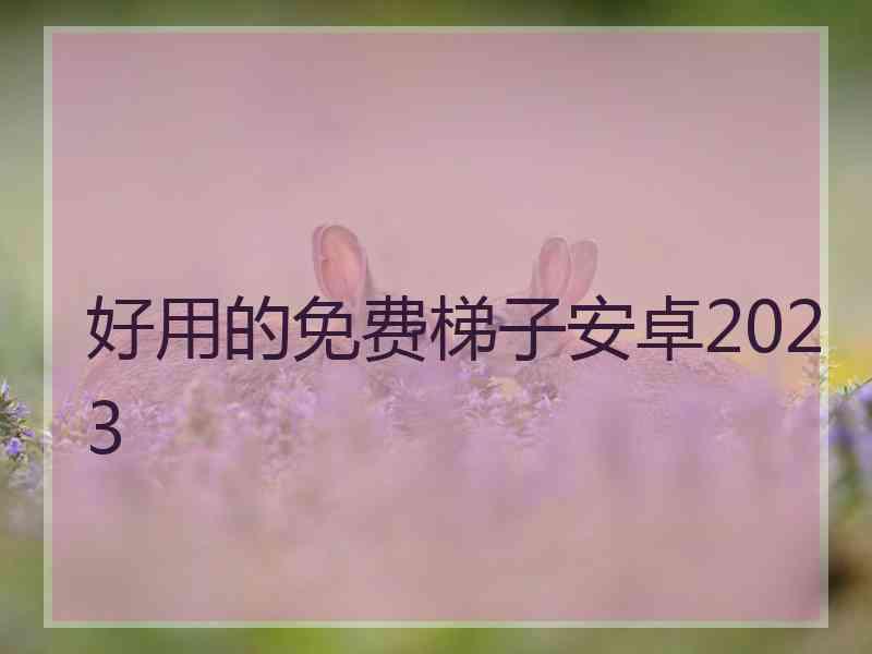 好用的免费梯子安卓2023