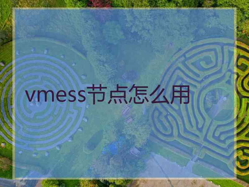 vmess节点怎么用