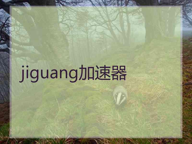 jiguang加速器