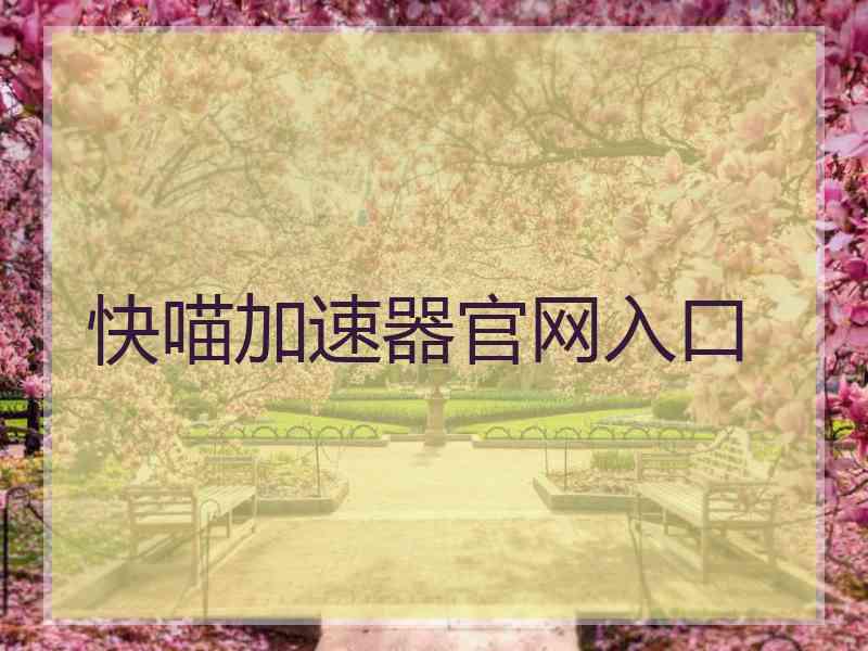 快喵加速器官网入口