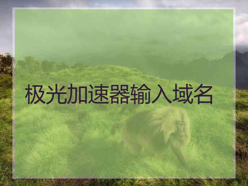极光加速器输入域名