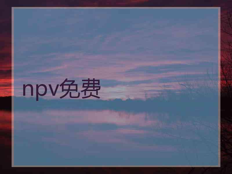 npv免费
