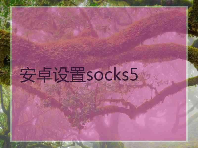 安卓设置socks5