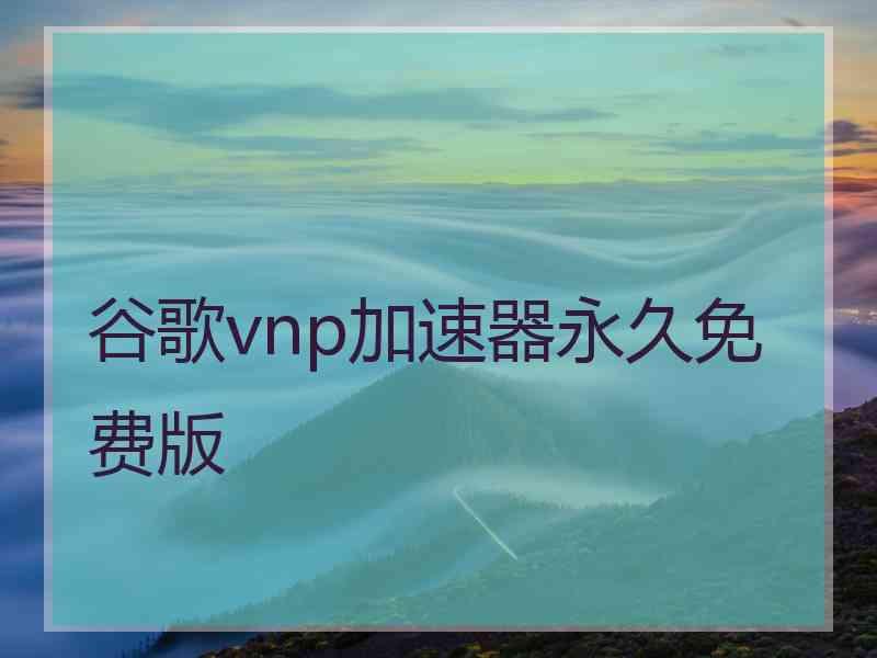 谷歌vnp加速器永久免费版