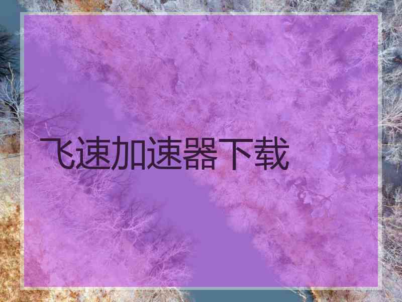 飞速加速器下载