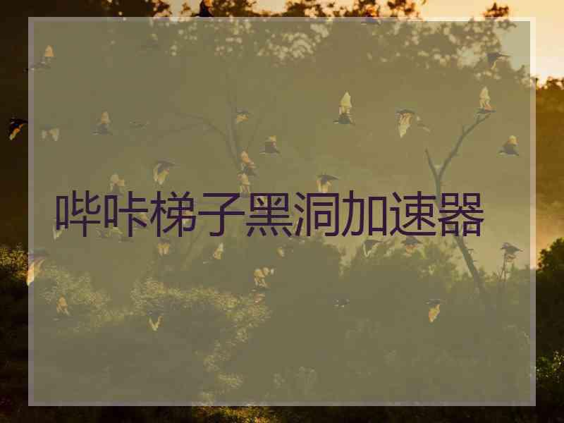 哔咔梯子黑洞加速器
