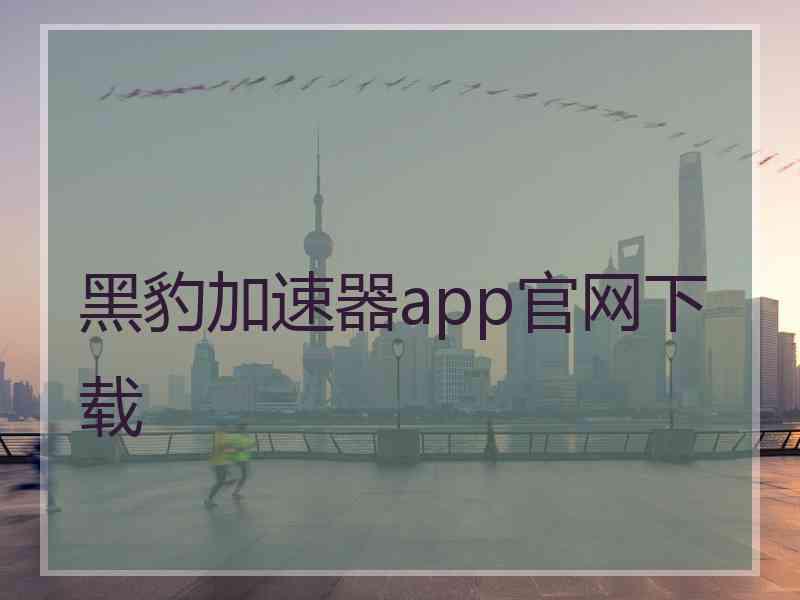黑豹加速器app官网下载