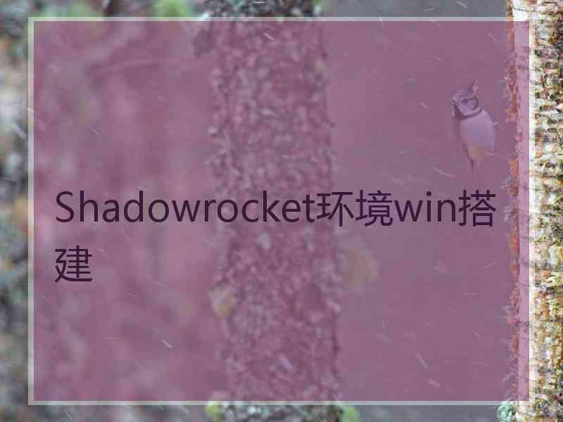 Shadowrocket环境win搭建