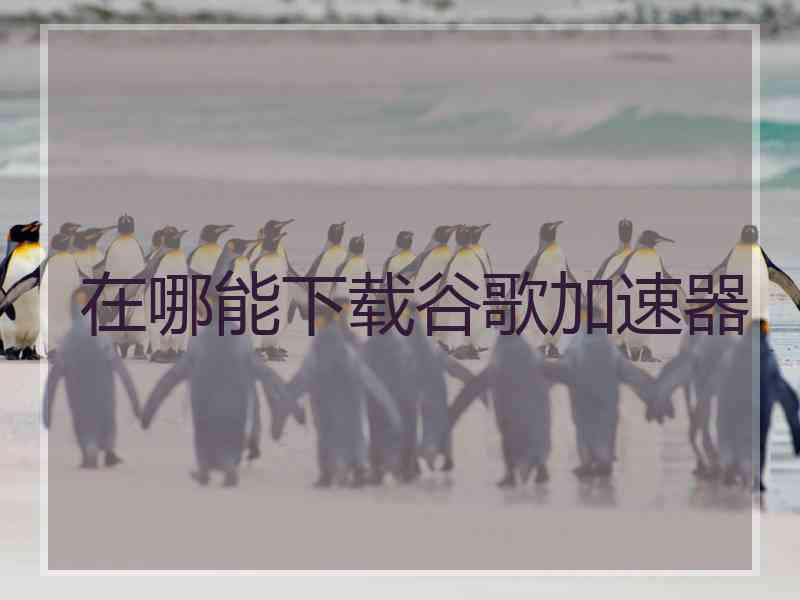 在哪能下载谷歌加速器