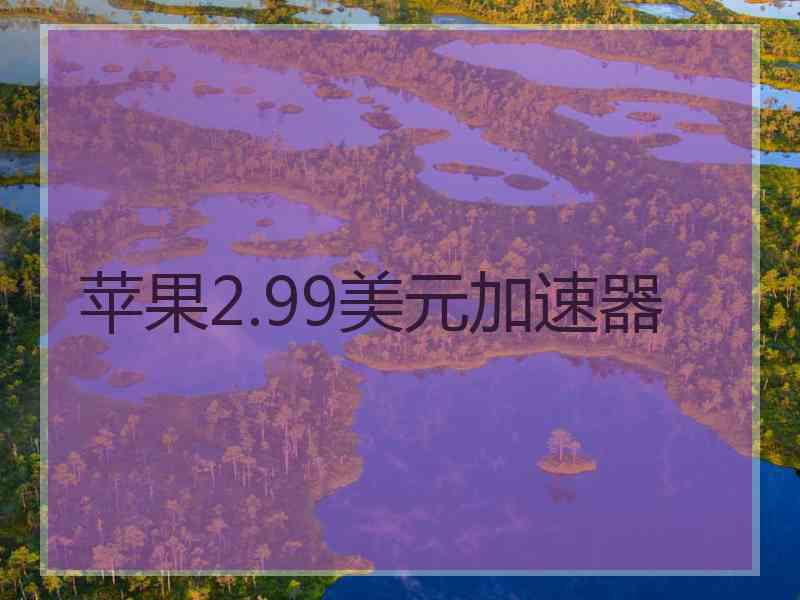 苹果2.99美元加速器
