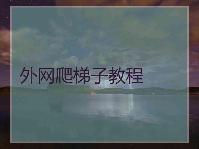 外网爬梯子教程