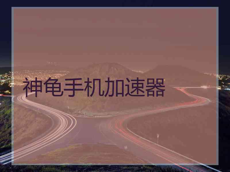 神龟手机加速器