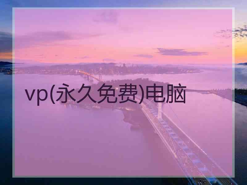 vp(永久免费)电脑