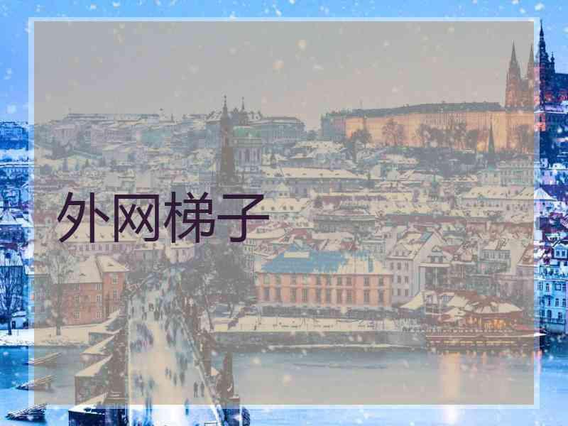 外网梯子