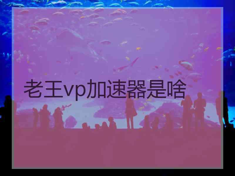 老王vp加速器是啥