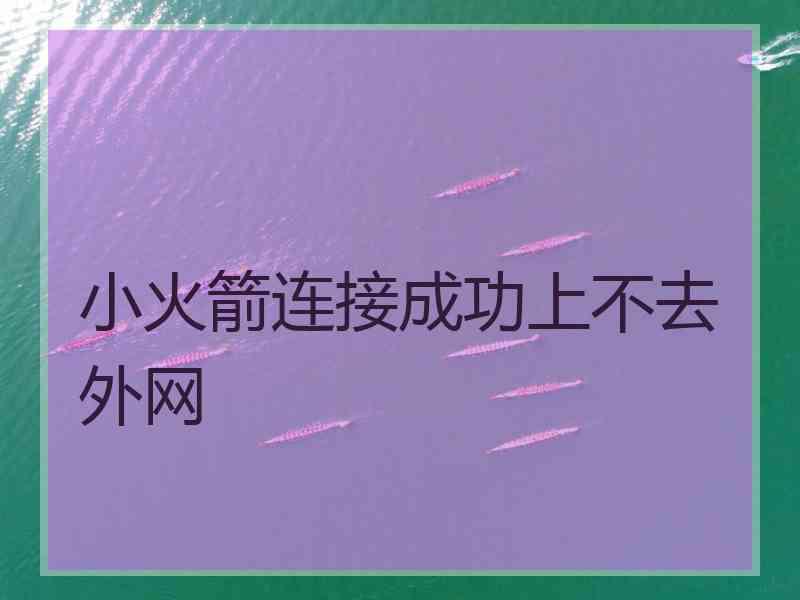 小火箭连接成功上不去外网