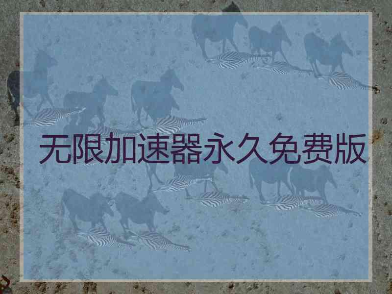 无限加速器永久免费版