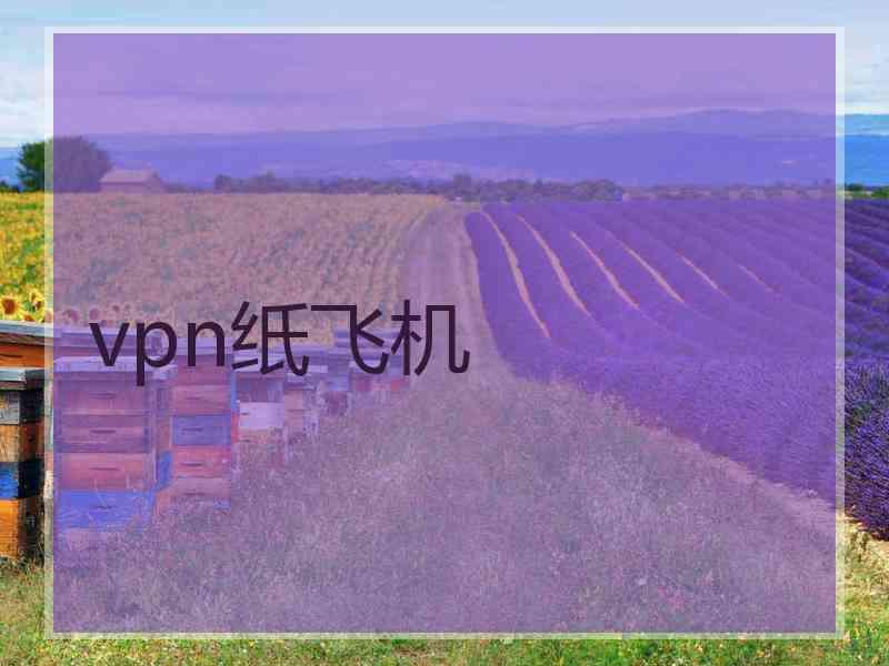 vpn纸飞机