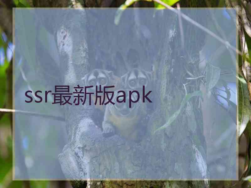 ssr最新版apk