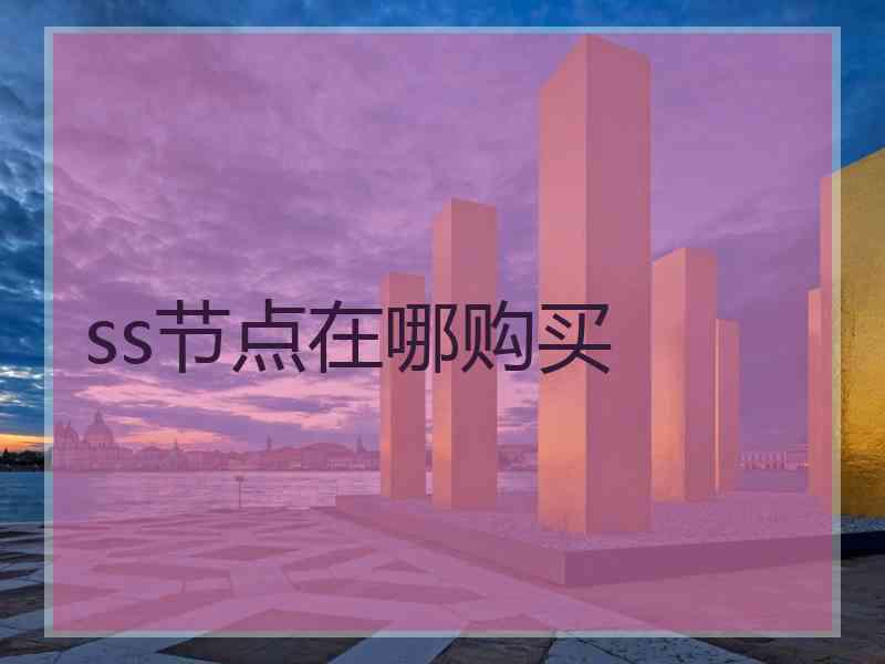 ss节点在哪购买