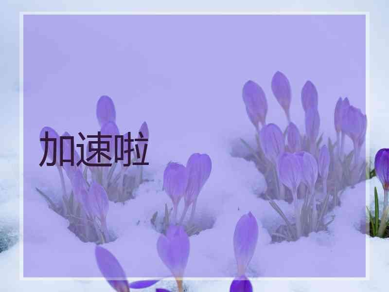 加速啦